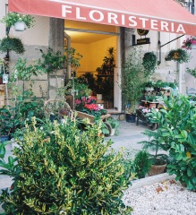 Casa MasArt Flores & Plantas & Antigüedades