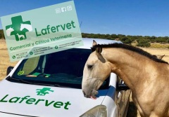 Clínica Veterinaria Lafervet